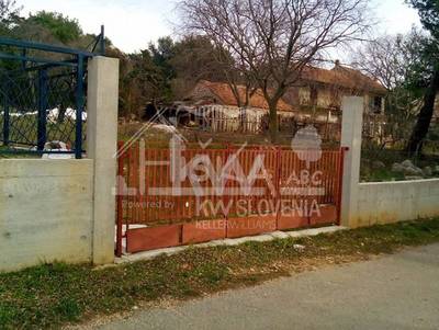 image_1.jpg