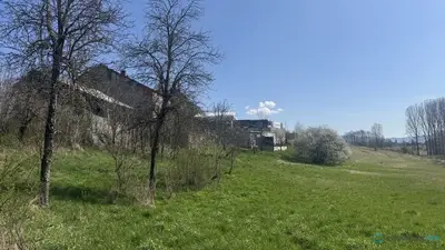 image_4.jpg