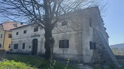 image_3.jpg