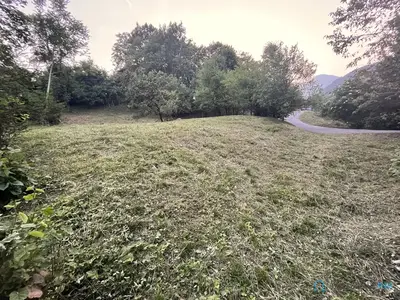 image_3.jpg