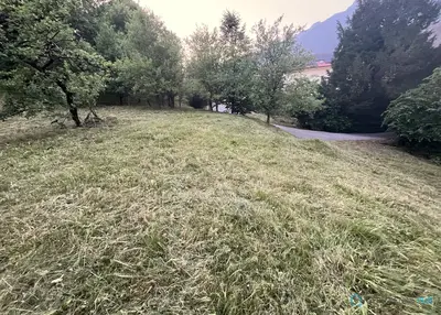 image_2.jpg