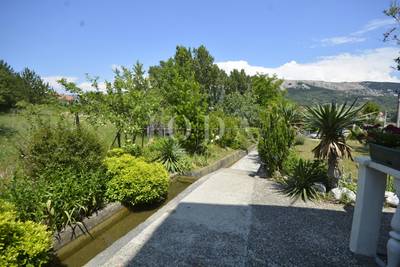 image_2.jpg