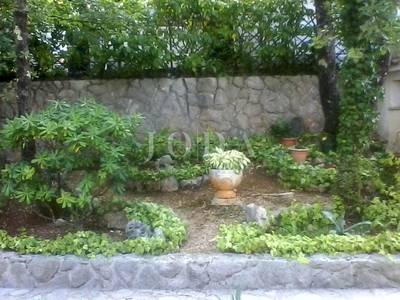 image_3.jpg