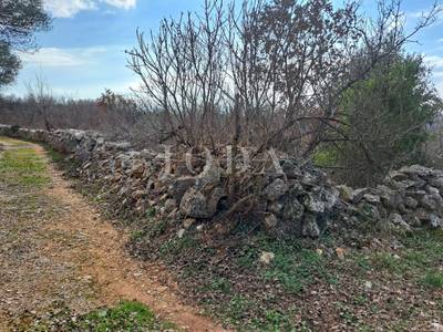 image_2.jpg