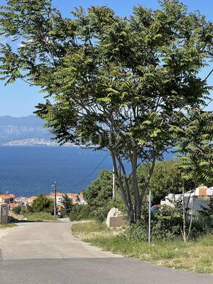 image_1.jpg
