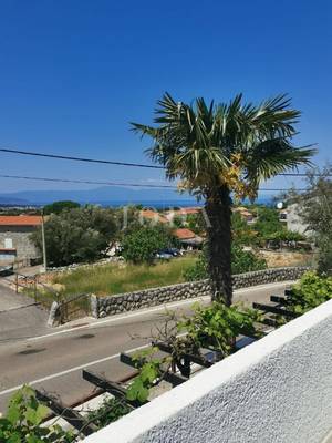 image_4.jpg