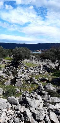 image_1.jpg