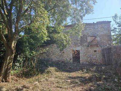 image_2.jpg
