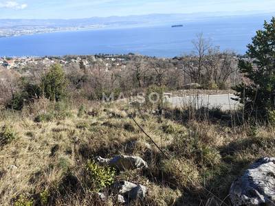 image_4.jpg