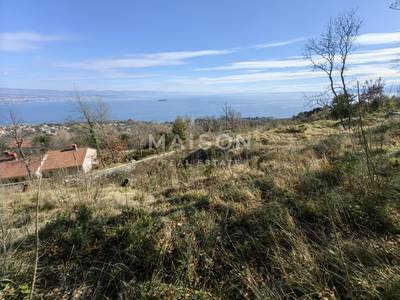 image_3.jpg
