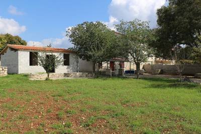 image_4.jpg
