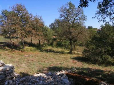 Bale 518m2