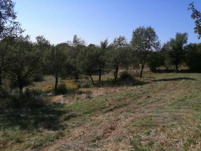 image_2.jpg