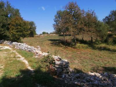 image_1.jpg