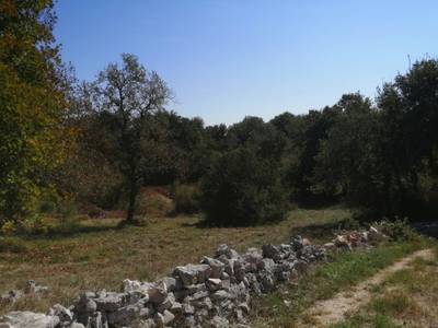 image_3.jpg