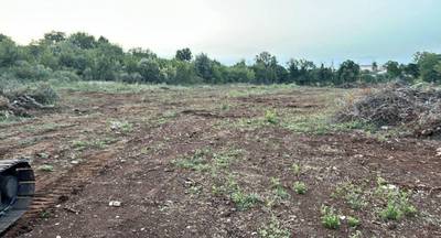 Šišan 4.300m2