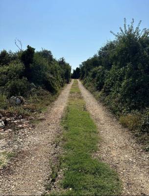 image_2.jpg