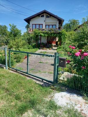 image_7.jpg