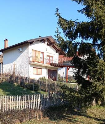 image_8.jpg