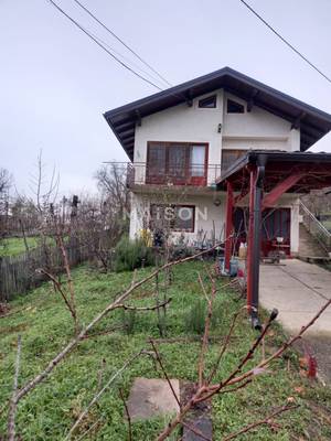 image_12.jpg
