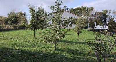 image_1.jpg