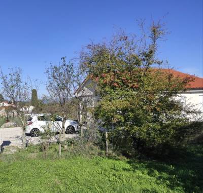 image_3.jpg