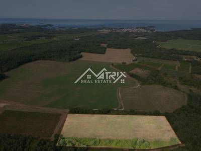 image_1.jpg