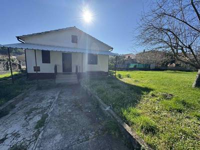 image_4.jpg