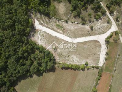 image_4.jpg