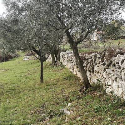 image_1.jpg