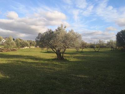 image_3.jpg