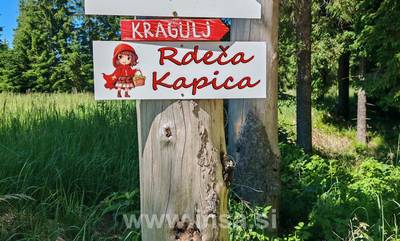 Vikendi - počitniške kapacitete, Apartma