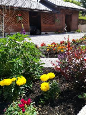 image_3.jpg