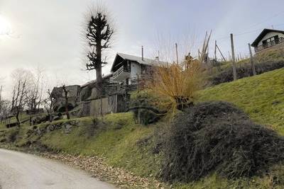 image_2.jpg