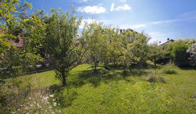 image_2.jpg