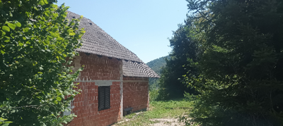 image_1.jpg