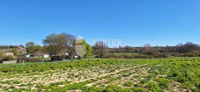 Briševo 11.000m2