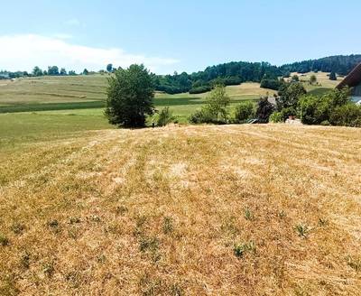 ZAZIDLJIVA PARCELA V NEPOSREDNI OKOLICI GROSUPLJA , PRODAMO
