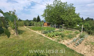 image_4.jpg
