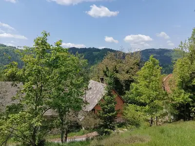 image_2.jpg