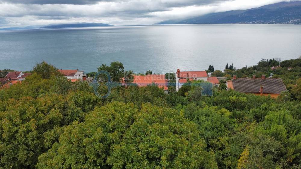 image_1.jpg