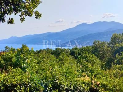 image_2.jpg