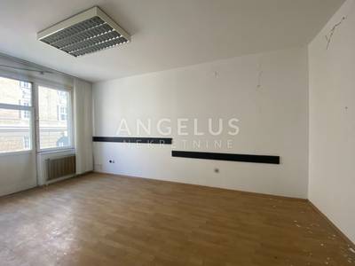 image_3.jpg