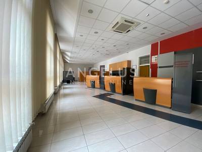 image_4.jpg