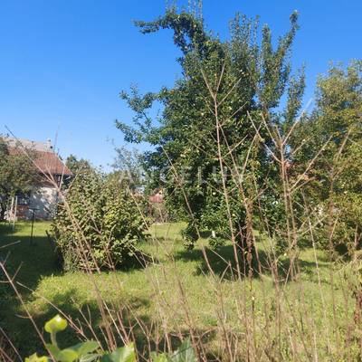 image_2.jpg