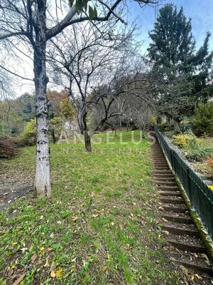 image_4.jpg