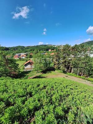 image_3.jpg
