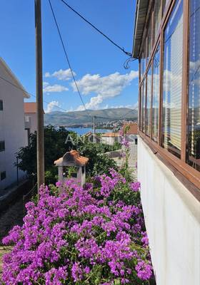 image_1.jpg