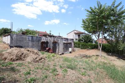 image_3.jpg