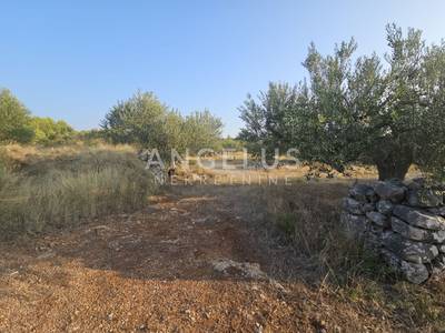 image_4.jpg